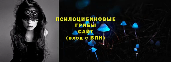 а пвп мука Верхний Тагил