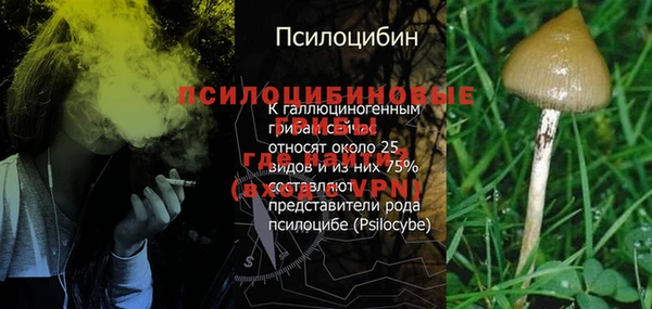 mix Верея