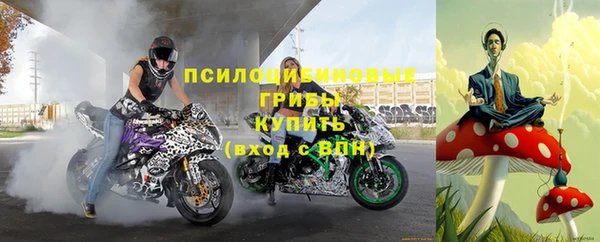 а пвп мука Верхний Тагил
